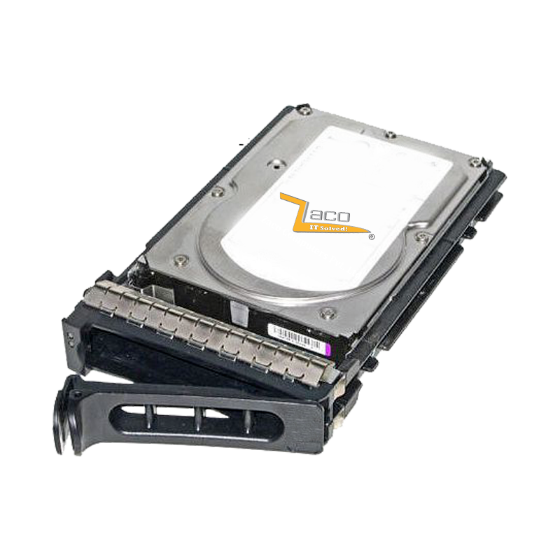 SAS Drives